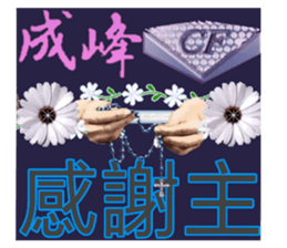 118155630
