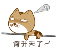 11816189