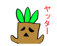 11824030