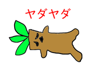 11824036
