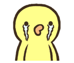 11824498