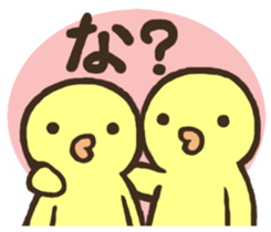 11824504
