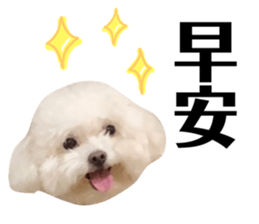 118271006