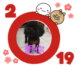 118285778