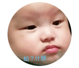 118418778