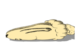 11853874