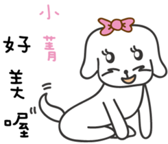118593916