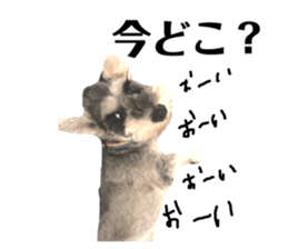 118597351