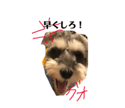 118597353