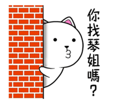 118997562