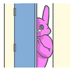 11900223
