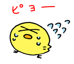 11904043