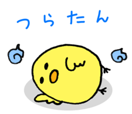 11904044