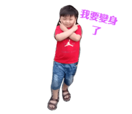 119048534