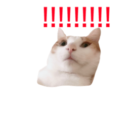 119059607