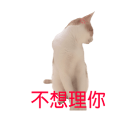 119059609