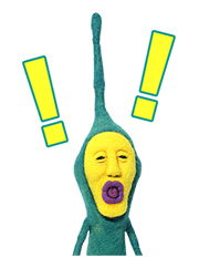11921495