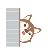 11929903
