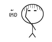 11935254