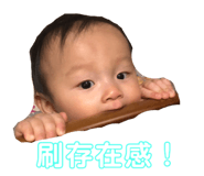 119537581