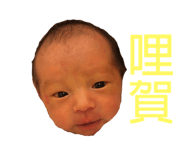 119537585