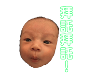 119537586