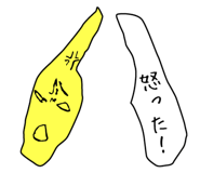 1196415