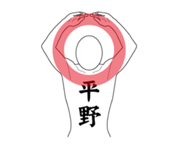 119646644