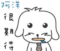 119726571