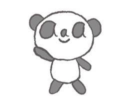 12000053