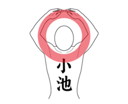 120129916