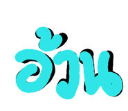 120146037