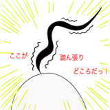 12018228