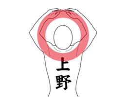 120284036