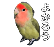 120356920