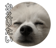 120356924