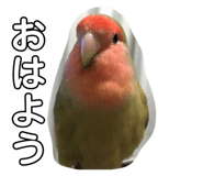 120356925