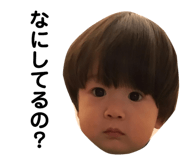 120360623