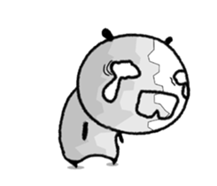 12037432