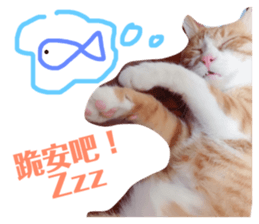 120412755