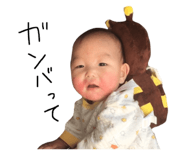 120433734
