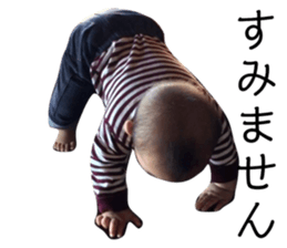 120433735