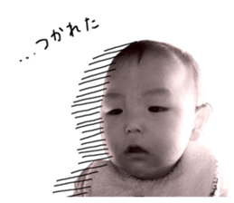 120433739