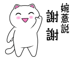 120497313
