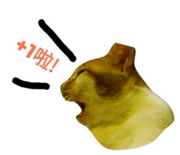 120656283