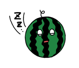 12066585