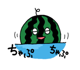 12066587