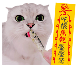 120667639