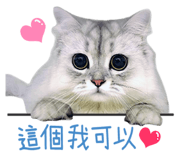 120667651