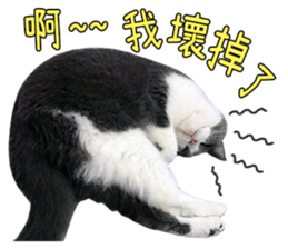 120667652